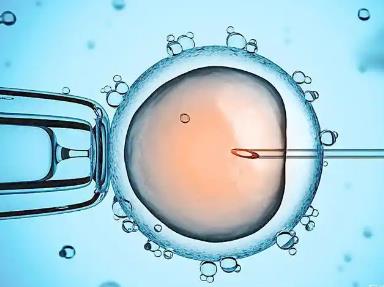 泰国试管婴儿 第1张